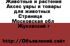 Животные и растения Аксесcуары и товары для животных - Страница 2 . Московская обл.,Жуковский г.